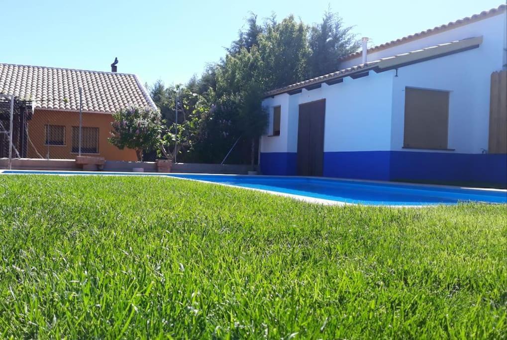 Casa Rural La Teja - Lagunas De Ruidera 오사 데 몬티엘 외부 사진